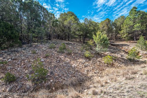 Lot 382 Santiago Cir, Alto, NM, 88312-9621 | Card Image