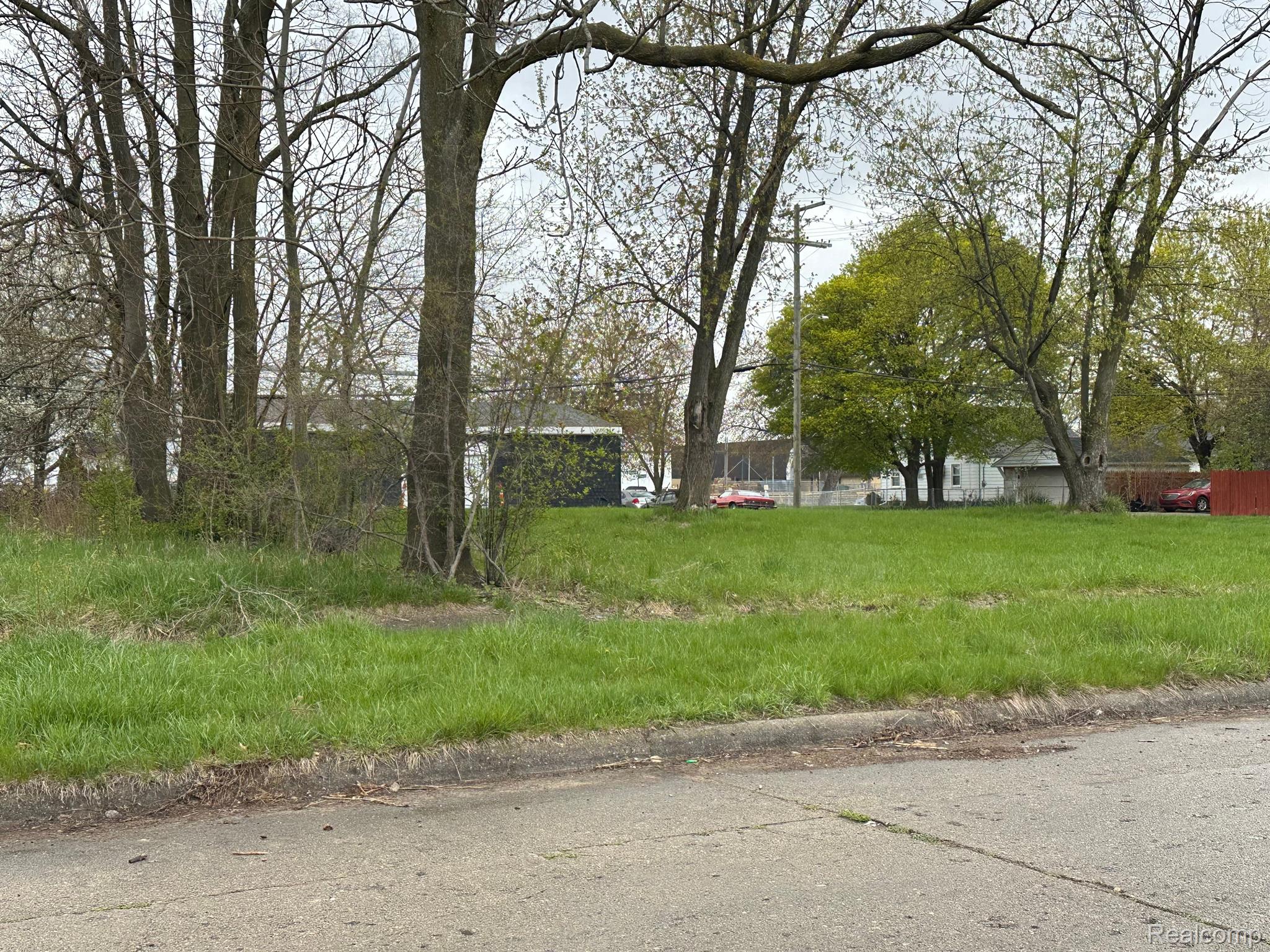 Land in Detroit 2
