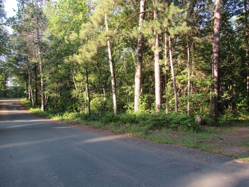 TBD Pine Tree Ln, Sturgeon Lake, MN, 55783 | Card Image