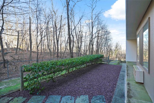 View of yard | Image 29