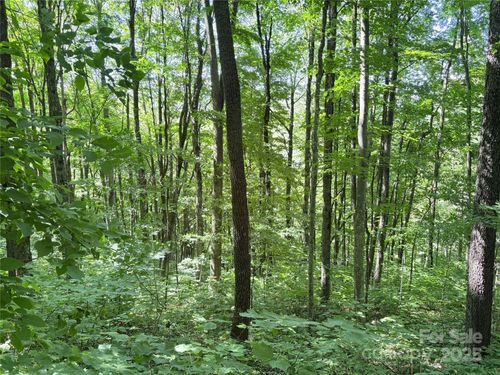306-and-307-00 Slippery Rock Rd, Waynesville, NC, 28785 | Card Image