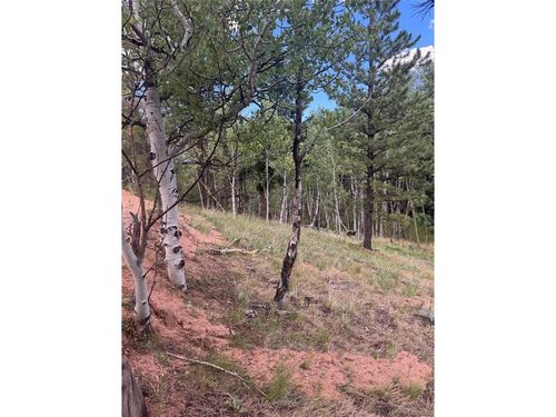 40 Sequoia Trl, Woodland Park, CO, 80863 | Card Image