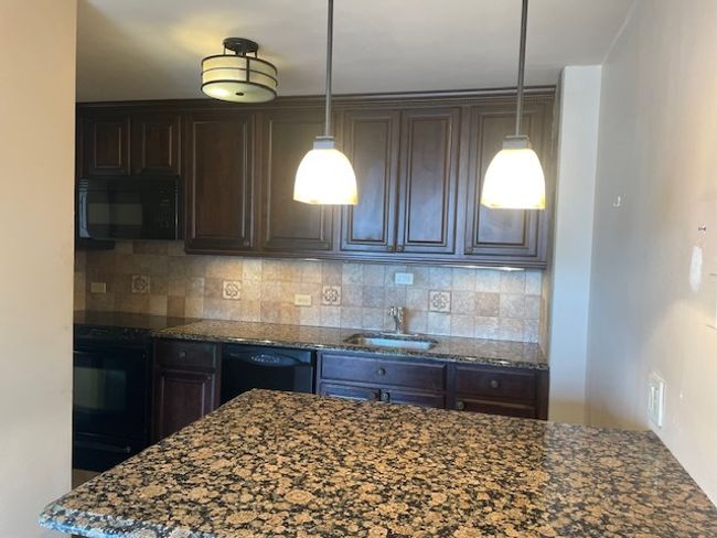 APT-1106 - 4250 N Marine Dr, Condo with 1 bedrooms, 1 bathrooms and 1 parking in Chicago IL | Image 8