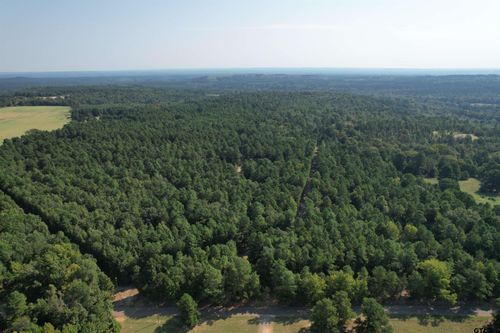TBD An County Road 1220, Grapeland, TX, 75844 | Card Image