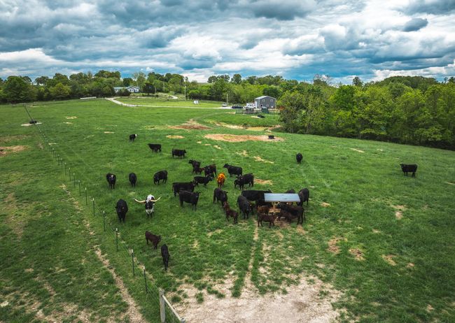 DJI_20250505142434_0077_D | Image 24