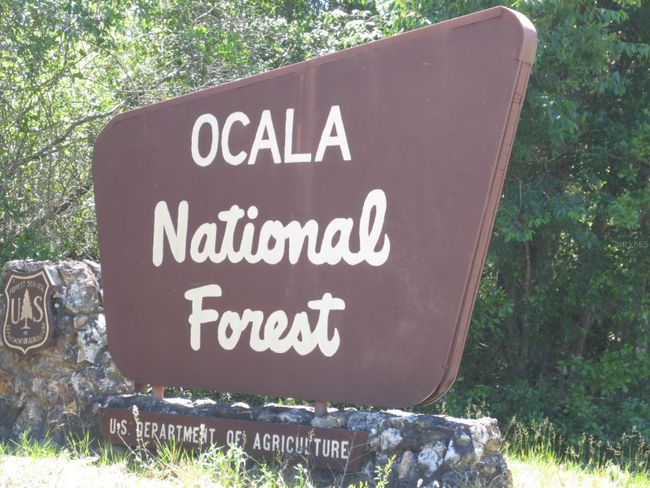 Ocala National Forest Activity | Image 87