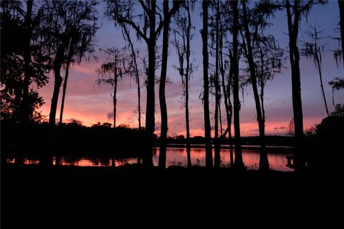 16308 Rock Lake Dr, ODESSA, FL, 33556-2351 | Card Image