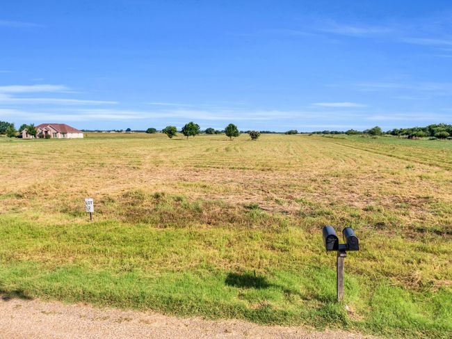 View of yard with a rural view | Image 12
