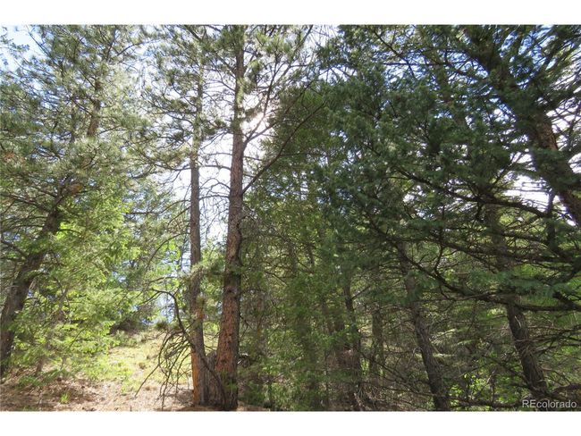 0 Come And See Mine, Home with 0 bedrooms, 0 bathrooms and null parking in Central City CO | Image 10