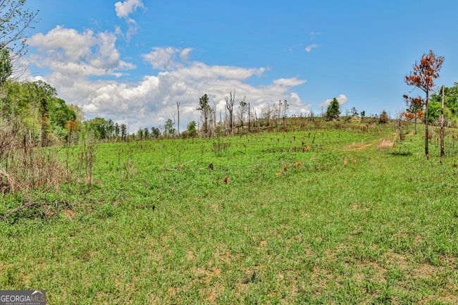 0 Kemp Rd, Home with 0 bedrooms, 0 bathrooms and null parking in Buena Vista GA | Image 10