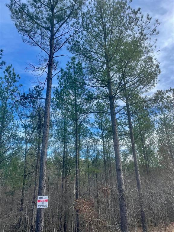 Land in Broken Bow
