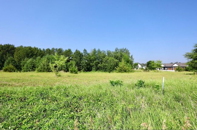 IMG_3031.jpeg | Image 19