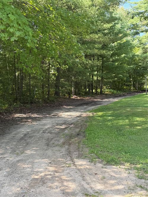 0000 Acorn Lane, Mills Township, MI, 48756 | Card Image