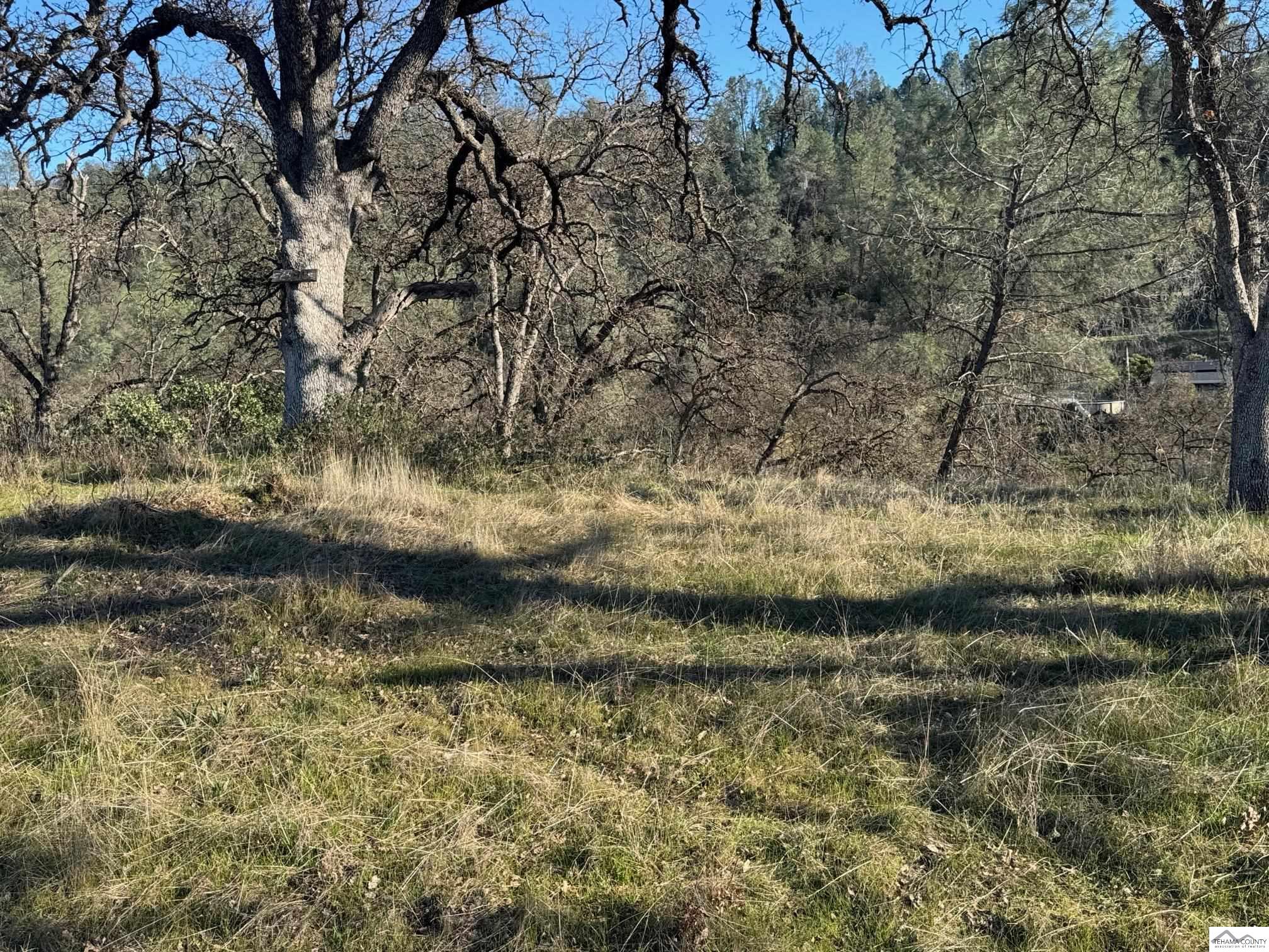 Land in Corning 3