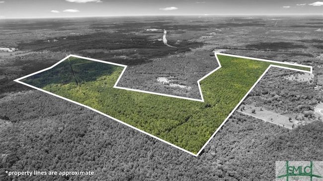262 Leroy Coffer Highway, Home with 0 bedrooms, 0 bathrooms and null parking in Fleming GA | Image 14