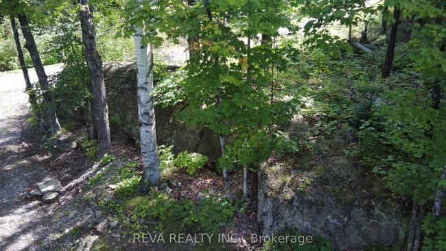 1173 Fortesque Lake Rd, Home with 0 bedrooms, 0 bathrooms and 5 parking in Gooderham ON | Image 19