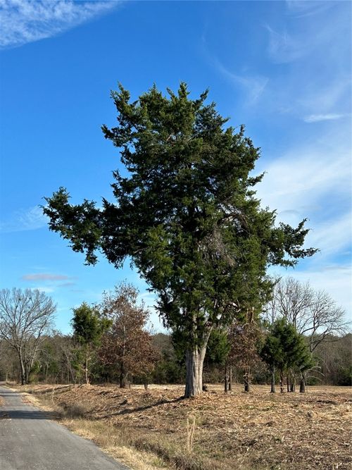 4427 County Road 45080, Arthur City, TX, 75411-3914 | Card Image