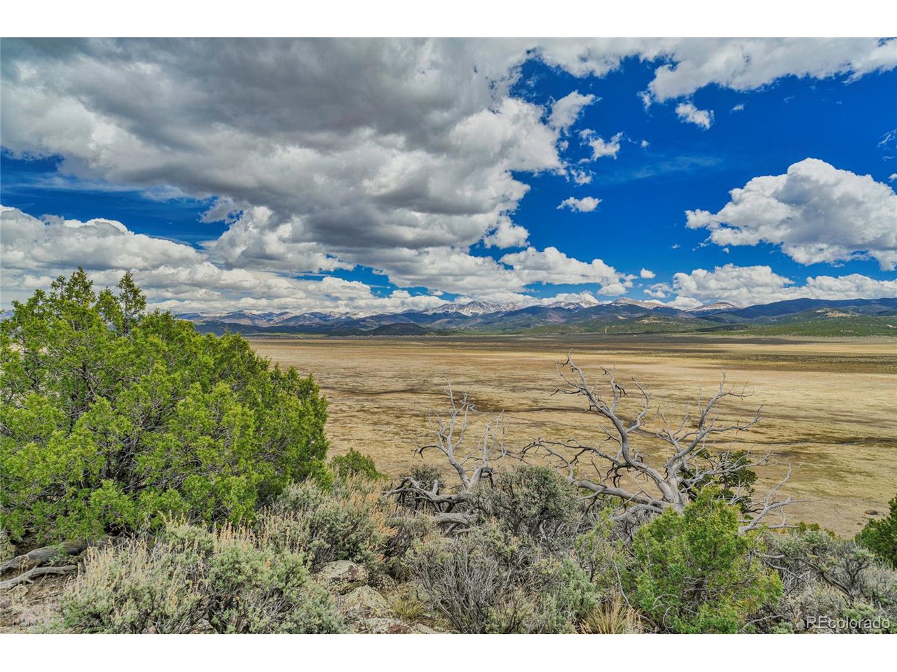 Land in San Luis 2