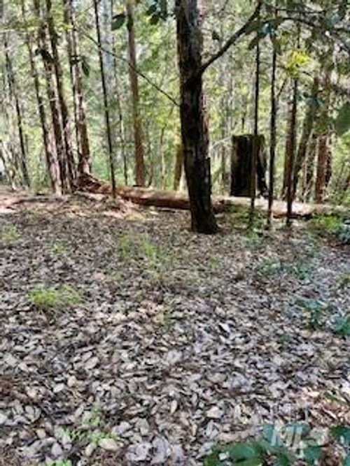 388 Moonraker Rd, The Sea Ranch, CA, 95497 | Card Image