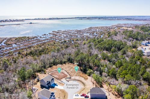 171 Evergreen Forest Ct, Sneads Ferry, NC, 28460-2407 | Card Image