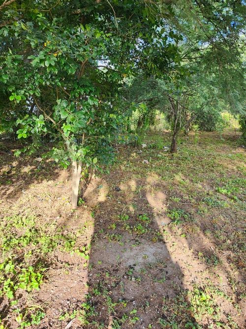 610 S Atascosa Street, Mathis, TX, 78368 | Card Image