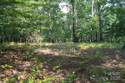 00 Lail Rd, Rutherfordton, NC, 28139 | Card Image