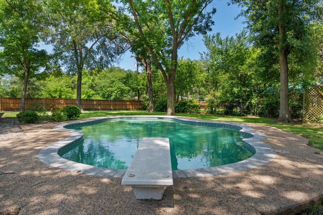 Gunite pool with diving board | Image 32