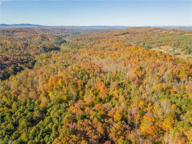 0 Laurel Creek Rd Ne, Home with 0 bedrooms, 0 bathrooms and null parking in Pilot VA | Image 34