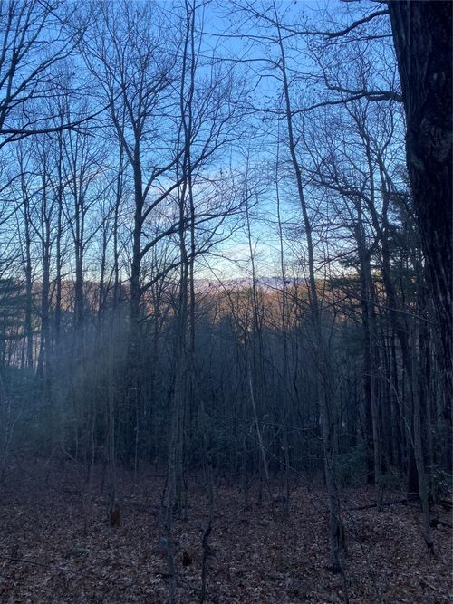 TBD Strawberry Br, Scaly Mountain, NC, 28775 | Card Image