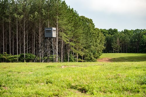 0 S Old Military Rd, Saint Joseph, TN, 38481 | Card Image