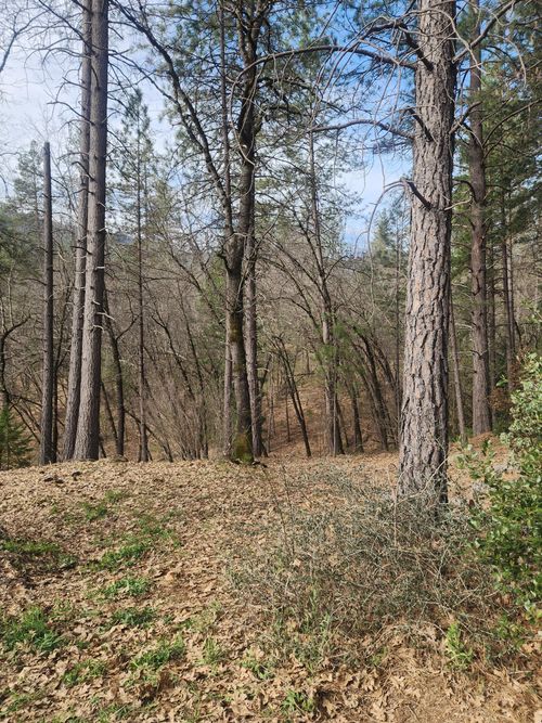 Lot 34 Doney St, Lakehead, CA, 96051 | Card Image