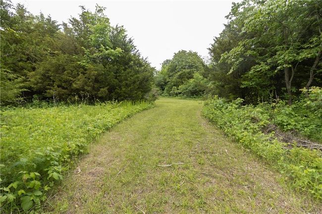 View of yard featuring a view of trees | Image 23