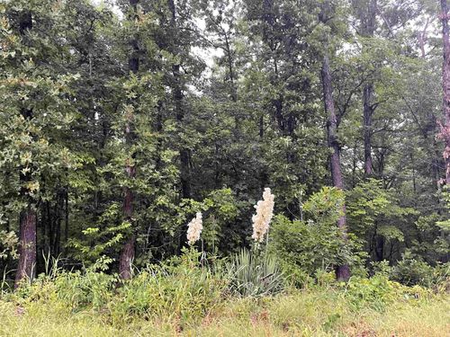 TBD Blackfoot Dr, Cherokee Village, AR, 72529 | Card Image
