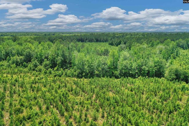 0000 N Brewington Rd, Home with 0 bedrooms, 0 bathrooms and null parking in Manning SC | Image 35