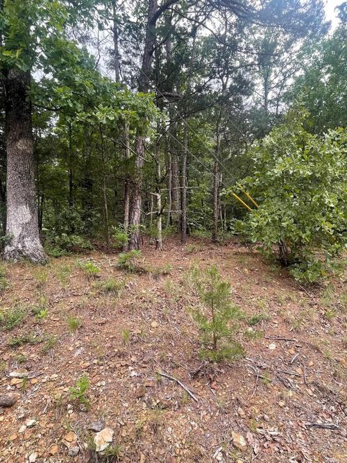 Lots 390 &amp; 394 Pine Hill &Amp; Vaalley View Drive, Fairfield Bay, AR, 72088 | Card Image
