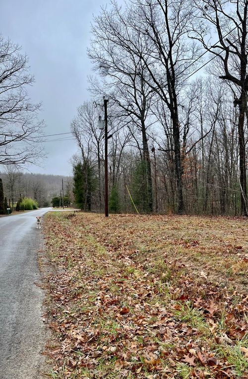 60 Laurel Drive, Dunlap, TN, 37327 | Card Image
