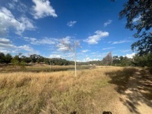Lot 18 Woodland Trail Ranch, Caldwell, TX, 77836 | Card Image