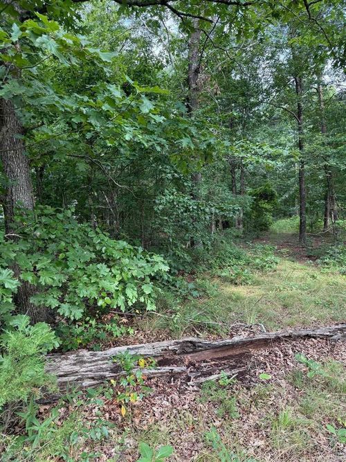2830 Tiger B Rd, Drasco, AR, 72530-3145 | Card Image