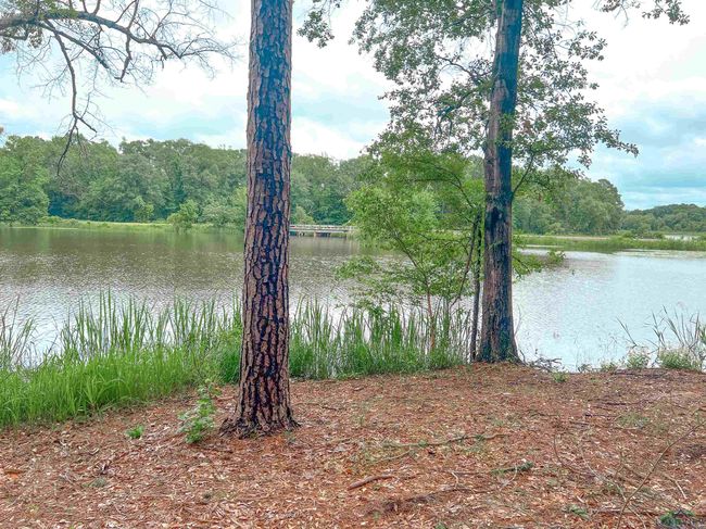17961 Gordons Landing Rd, Home with 0 bedrooms, 0 bathrooms and null parking in Arp TX | Image 5