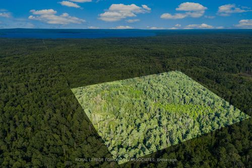 0 Deer Trail Rd, Killaloe, ON, K0J2A0 | Card Image