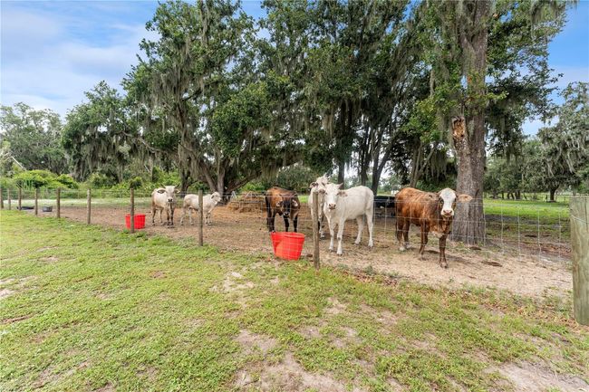 9819 Allen Rd, House other with 3 bedrooms, 2 bathrooms and null parking in Lithia FL | Image 38