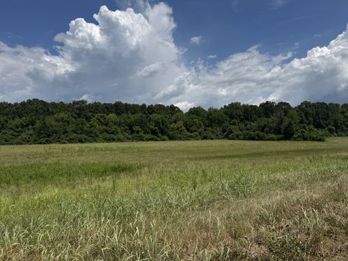 3473 N Grundy Quarles Hwy, Gainesboro, TN, 38562-6016 | Card Image