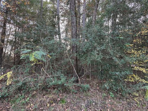 TBD Gary Ct, Livingston, TX, 77351 | Card Image