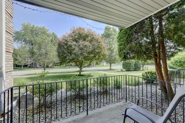 Views from Patio | Image 6