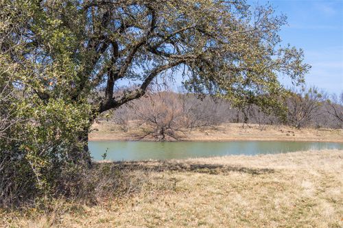 91 Acres Co Rd 370, Carbon, TX, 76435 | Card Image