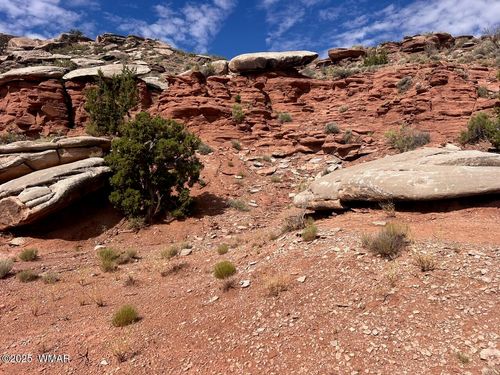 2345 W Ridge View Ranch Dr, Snowflake, AZ, 85937 | Card Image