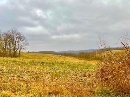 0 State Route 772, Piketon, OH, 45661 | Card Image