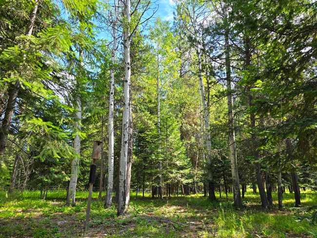 22 Pinewoods Dr, House other with 2 bedrooms, 2 bathrooms and null parking in Trout Creek MT | Image 55