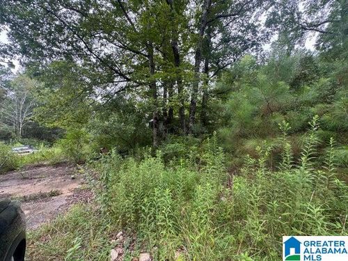 204 County Road, Nauvoo, AL, 35578 | Card Image