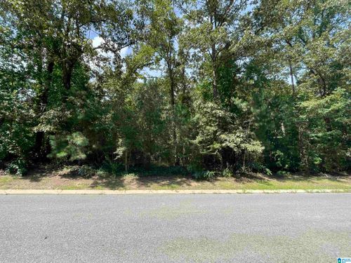12-0 Wilson Glen Dr, WILSONVILLE, AL, 35186 | Card Image